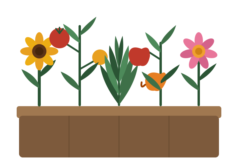 Coastal Garden Builds