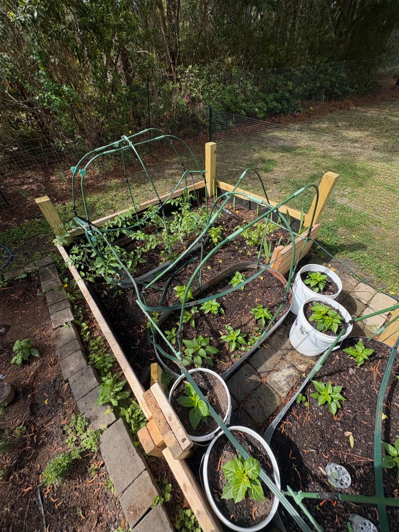 Garden bed build on the Crystal Coast