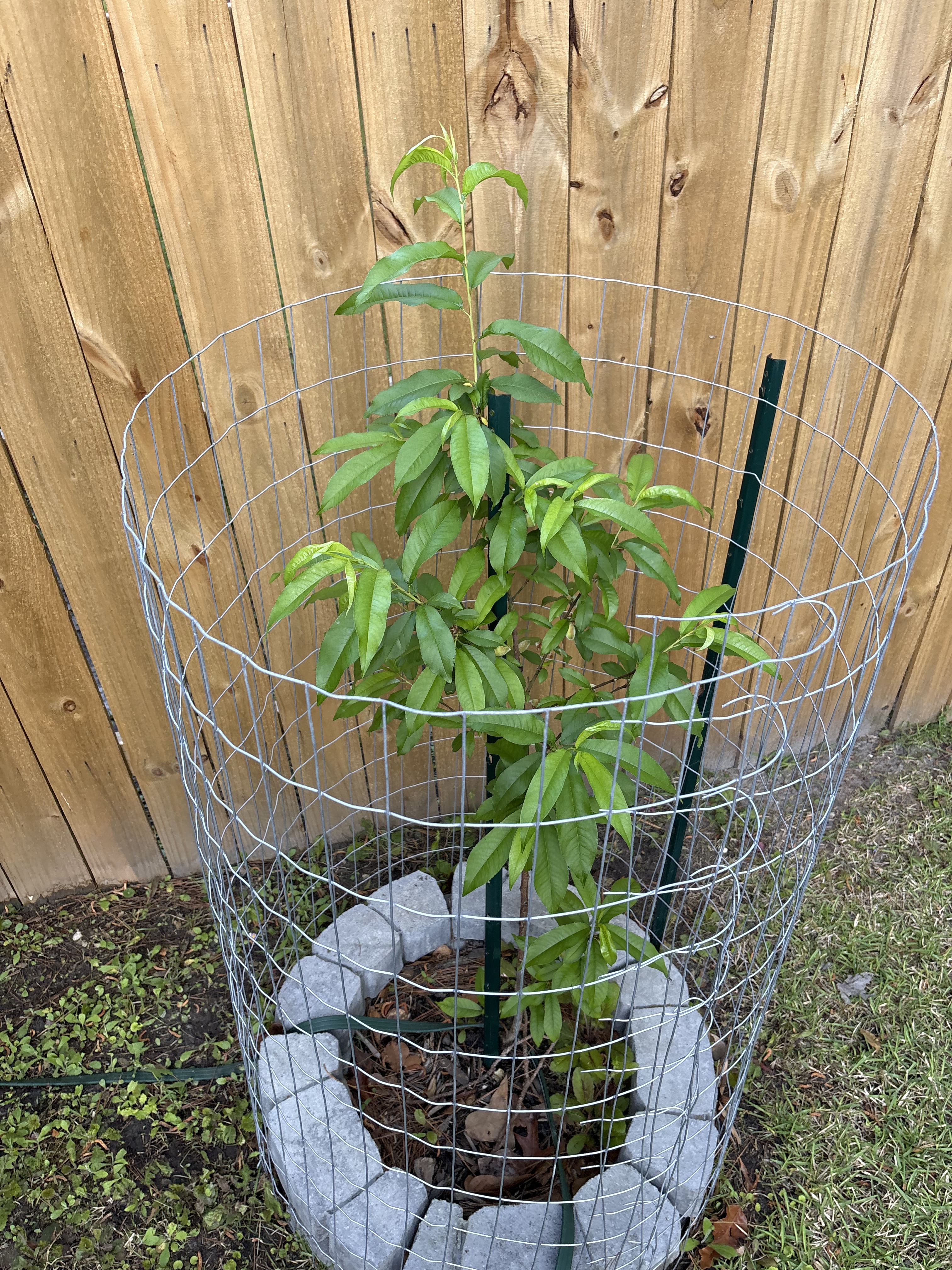 Garden installation Coastal NC