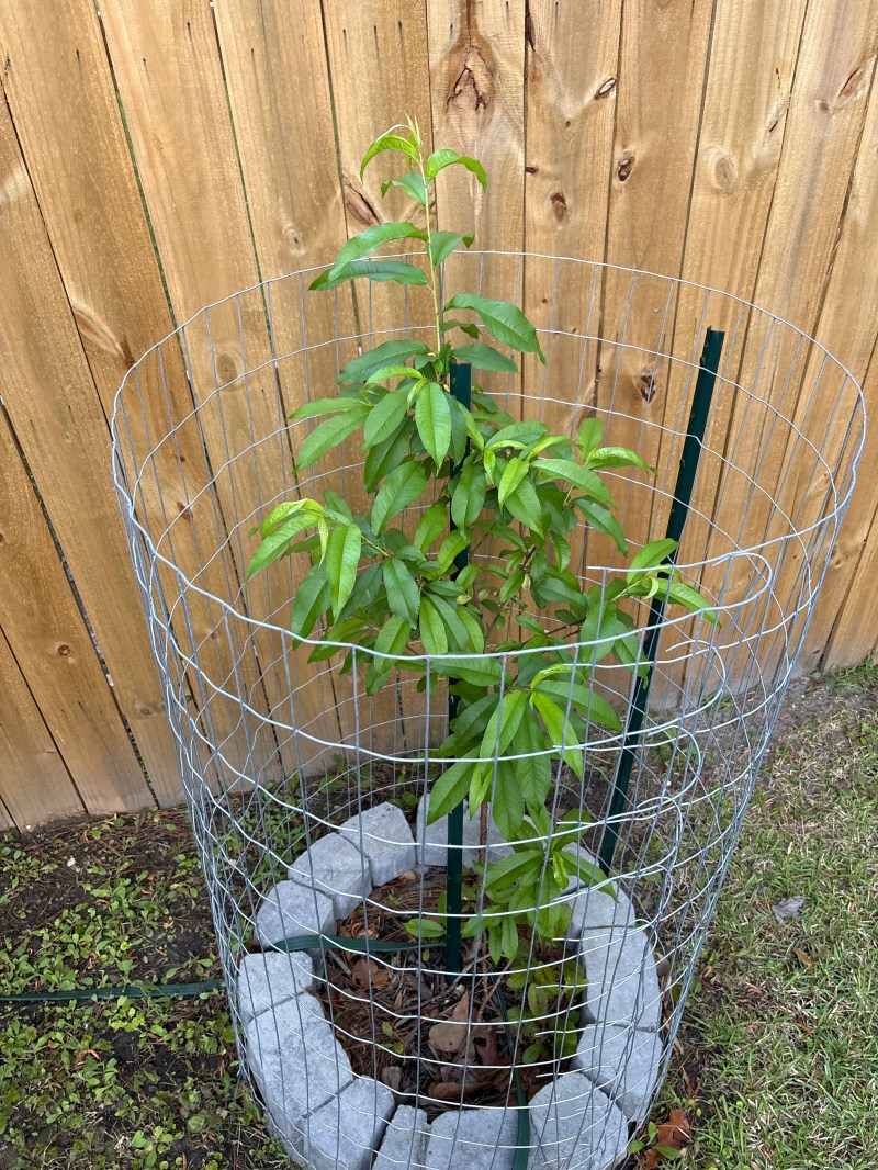 Zone 8b plant selection and planting service