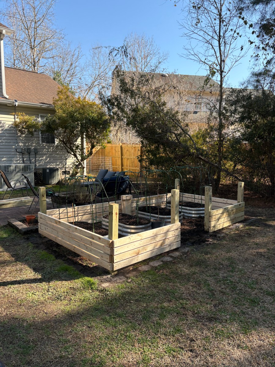 New cedar raised bed build with trellis posts