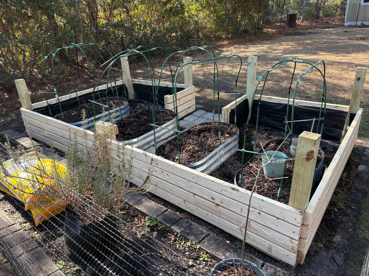 Raised garden beds built by Coastal Garden Builds