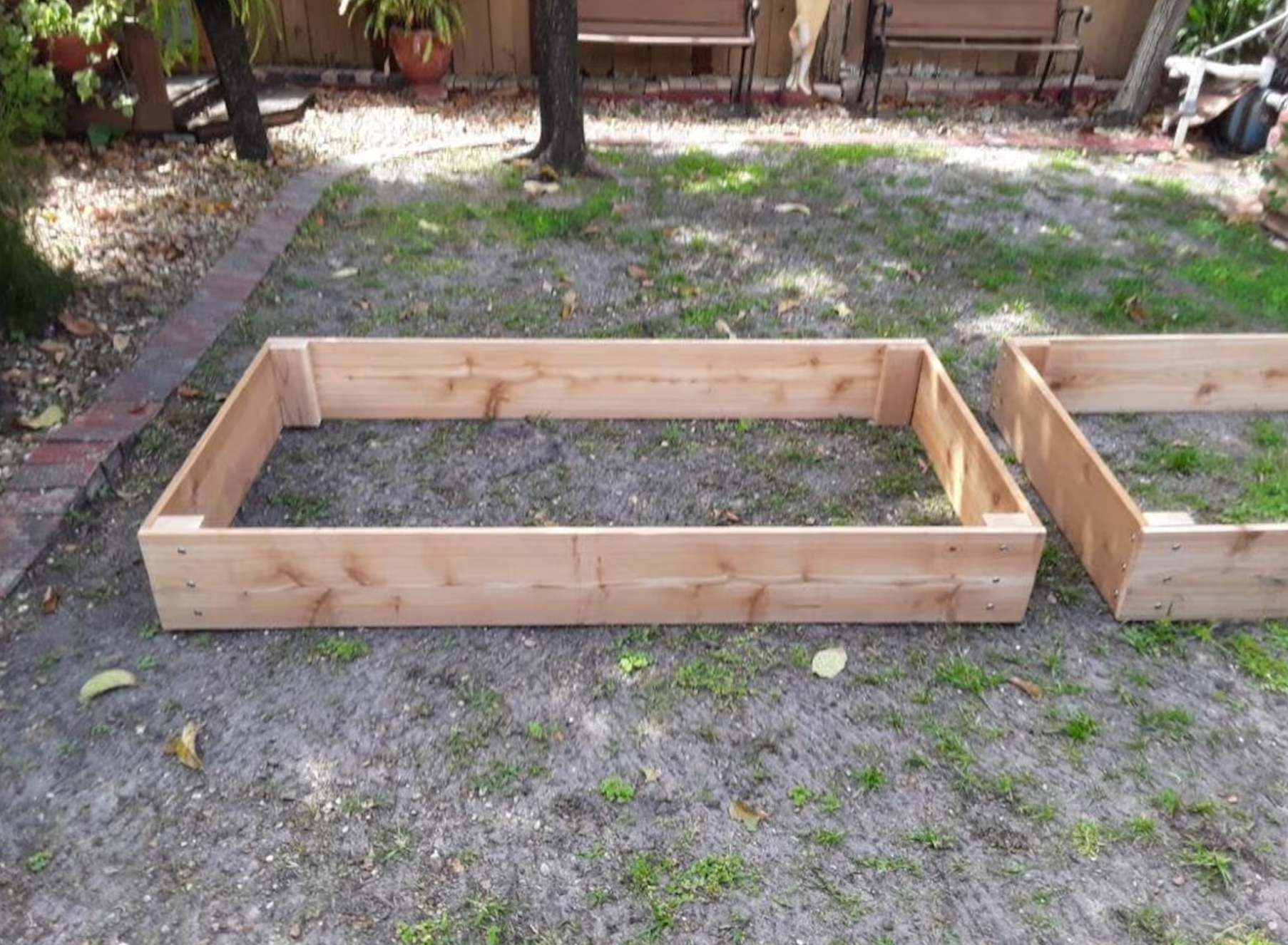 Coastal garden build