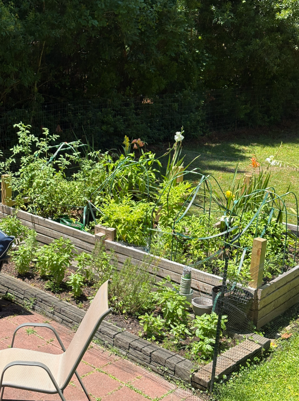 Backyard raised bed garden with patio seating
