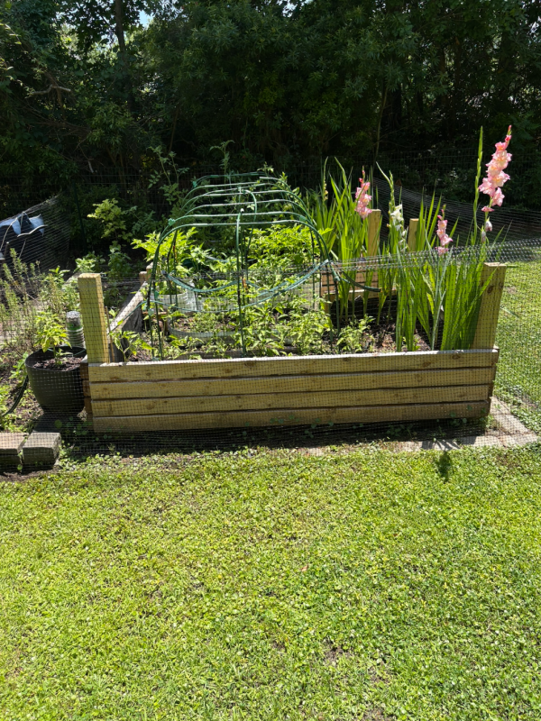 Planted raised bed with flowers along a lawn