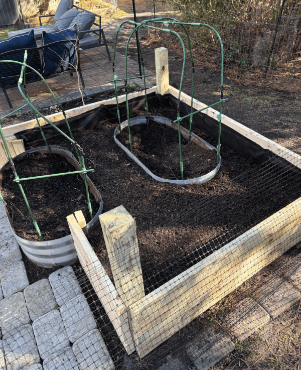 Raised bed with trellis posts, hoops and plant cages built on site